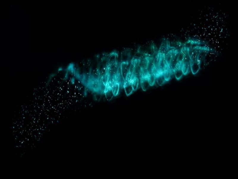 Helix of Still Charge